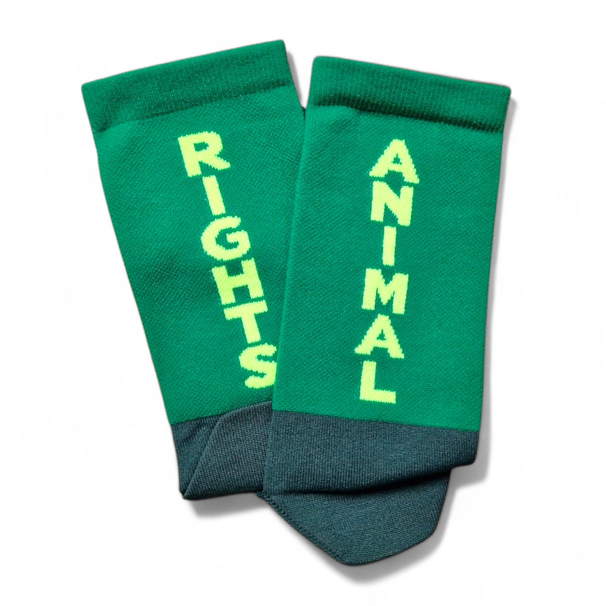 Green Vegan socks with 'Animal Rights' text on a white background