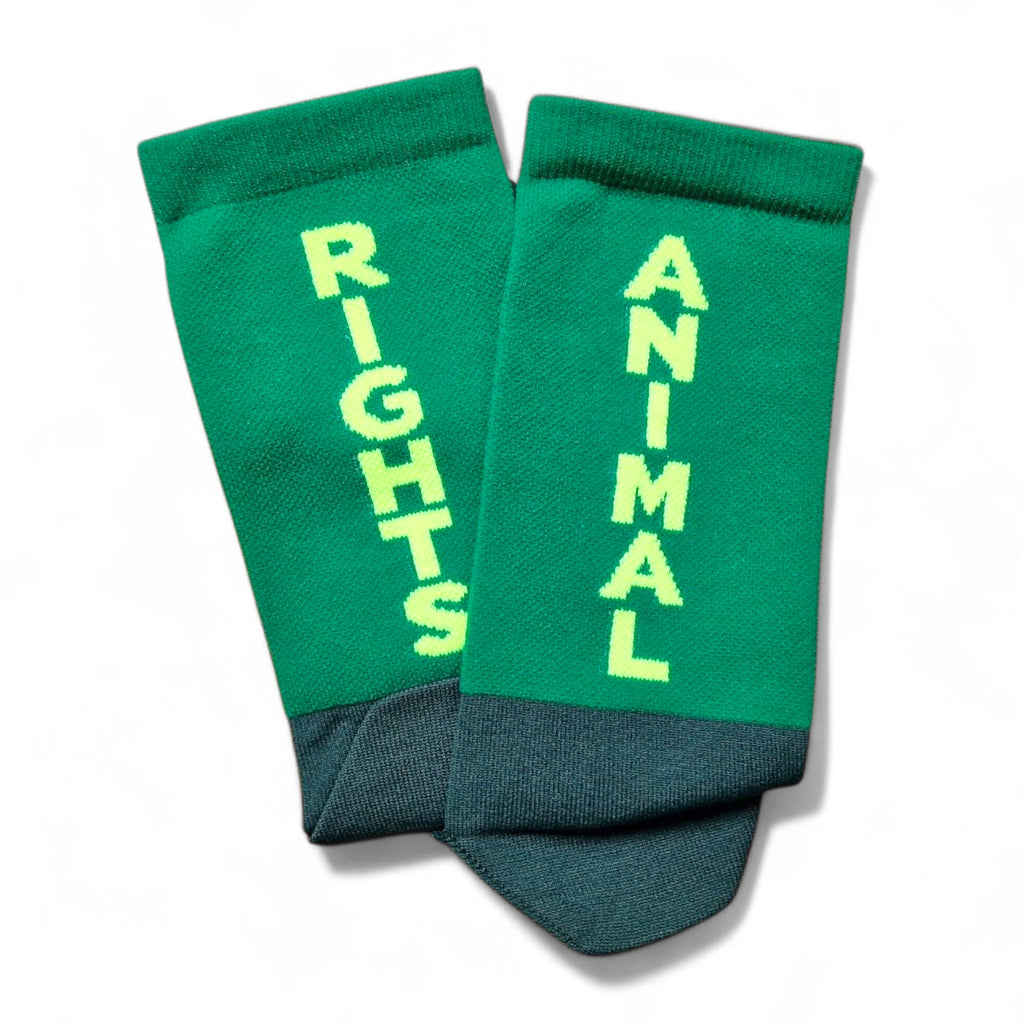 Green Vegan socks with 'Animal Rights' text on a white background