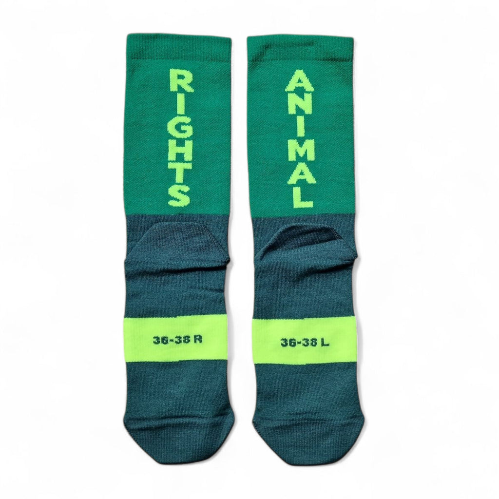 Green Vegan socks with 'Animal Rights' text on a white background